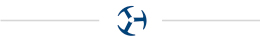 sgariboldi gulliver logo